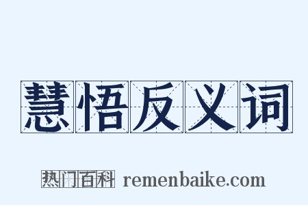 慧悟反义词是什么意思的图片